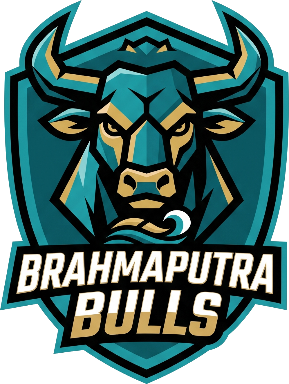 Brahmaputra Bulls Logo