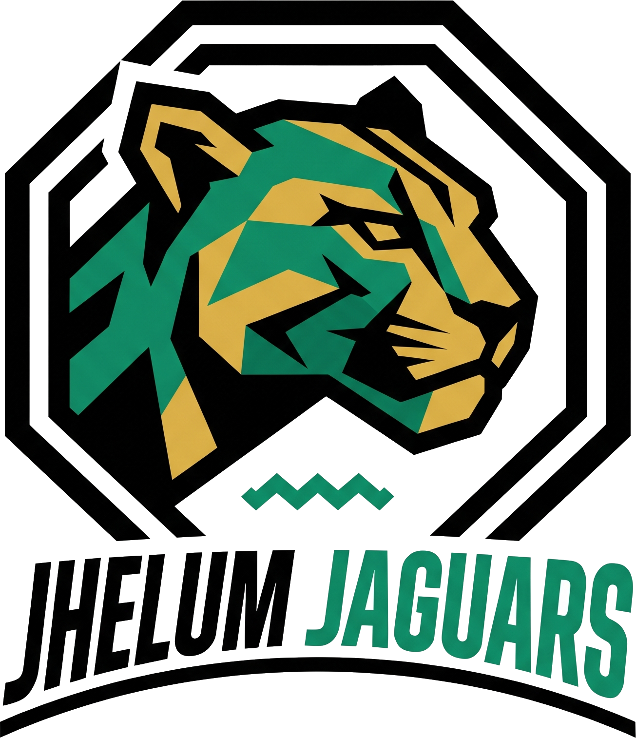 Jhelum Jaguars Logo